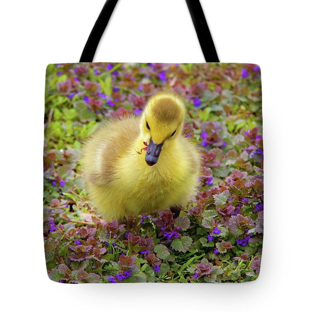 Gosling Tote Bag featuring the photograph Flowers for lunch by David Freuthal