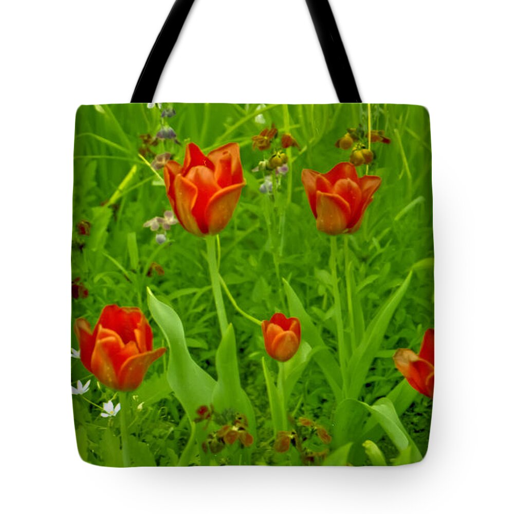 Film Tote Bag featuring the photograph Flowers from Monet's Garden by Matthew Bamberg