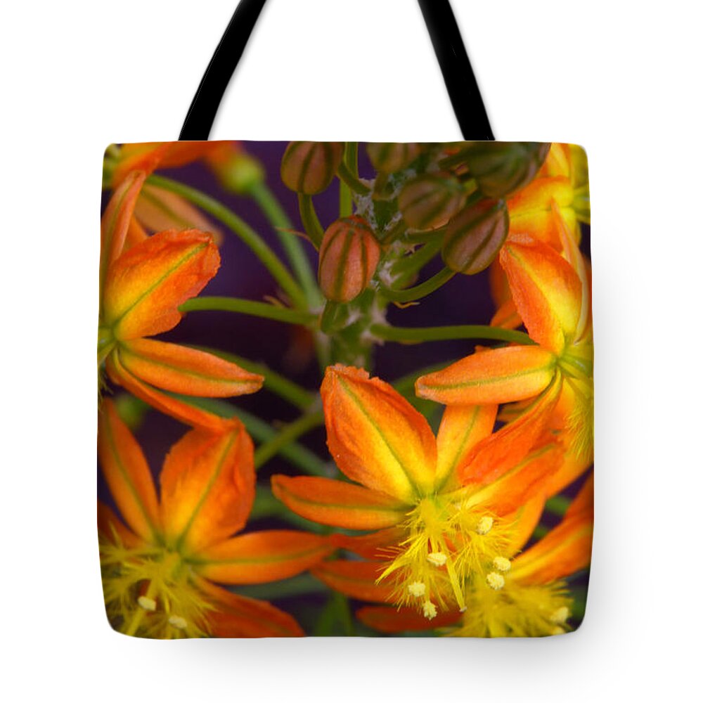 Flower Tote Bag featuring the photograph Flowers of Spring by Stephen Anderson