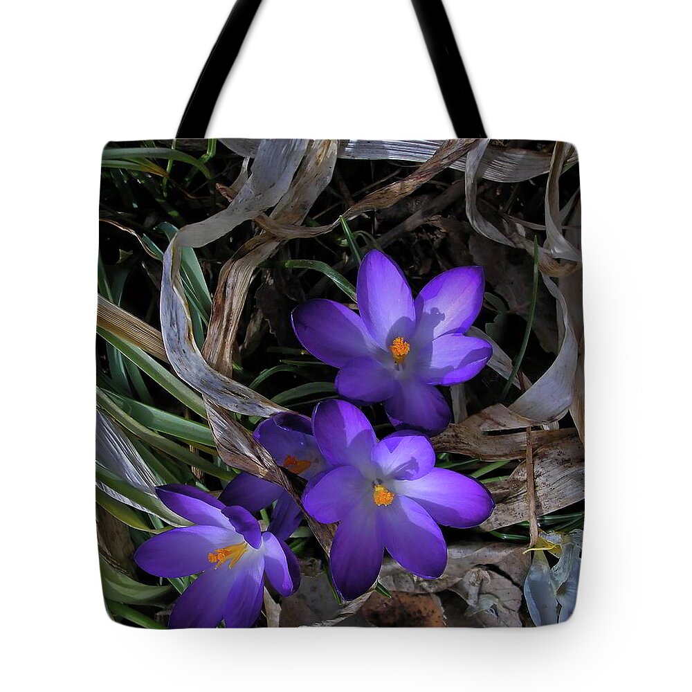 Flowers Tote Bag featuring the photograph Flowers on the Forest Floor by Kathryn Alexander MA