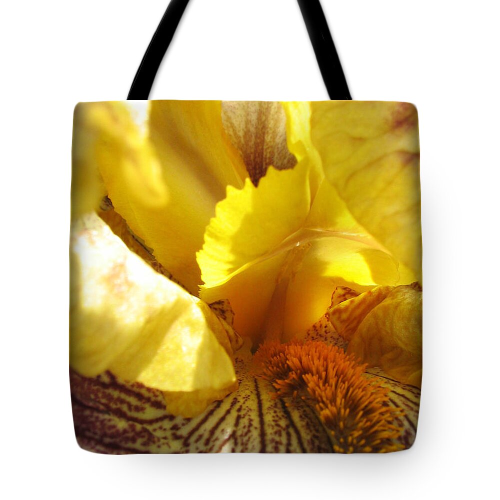 Flower Tote Bag featuring the photograph Flowerscape Yellow Iris Three by Laura Davis