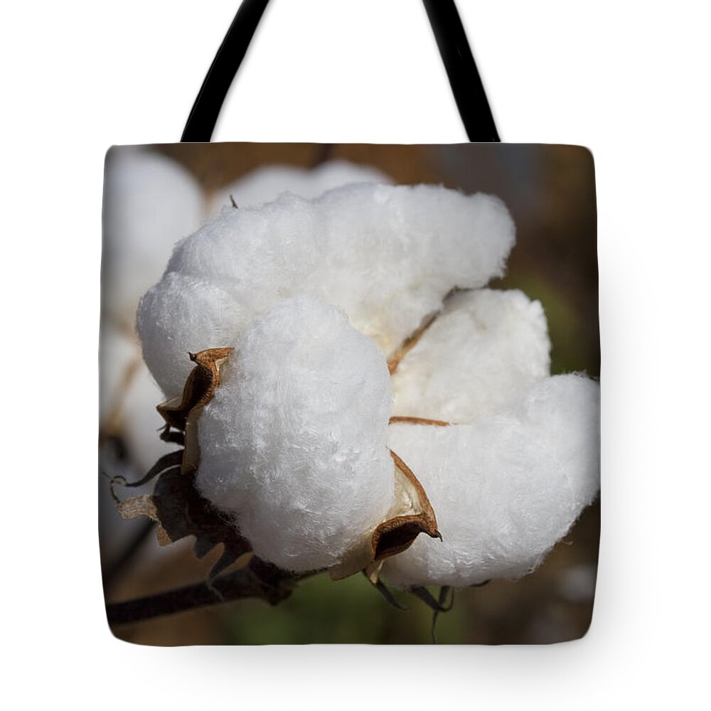 Cotton Tote Bag featuring the photograph Fluffy White Alabama Cotton by Kathy Clark