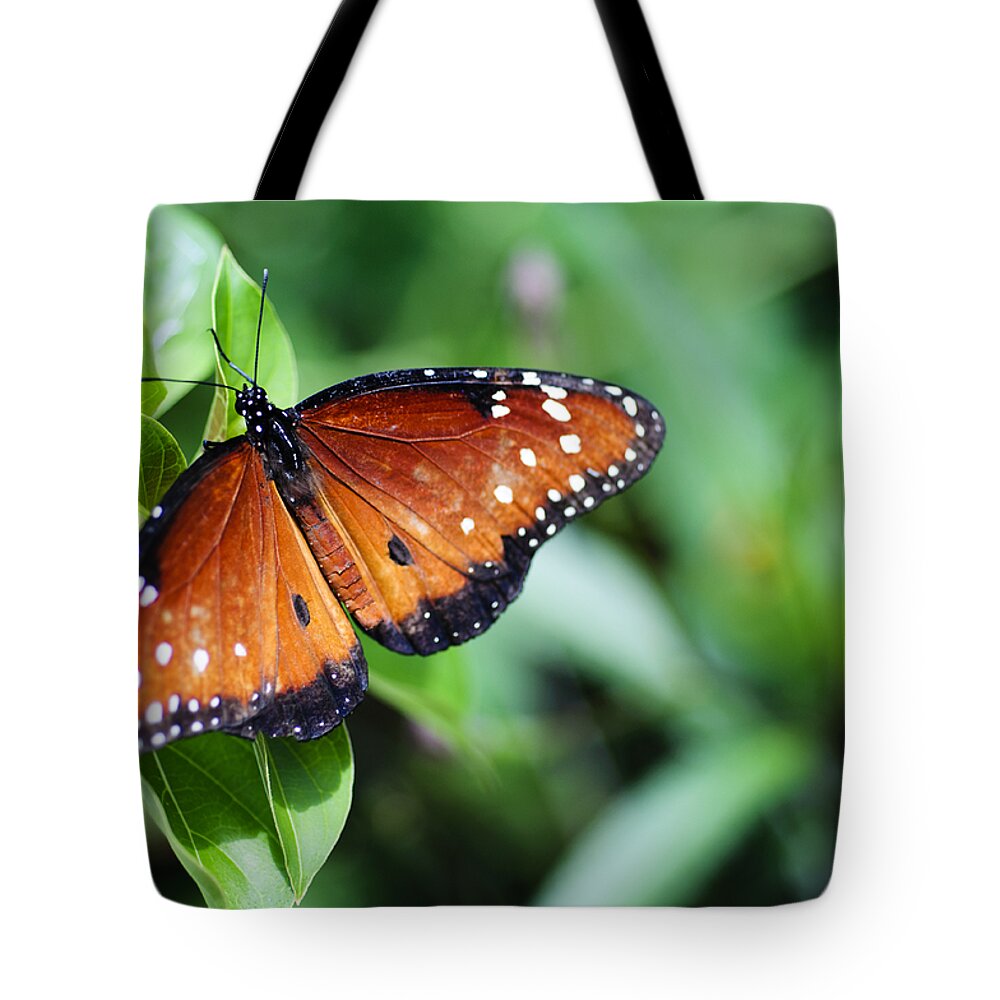 Antenna Tote Bag featuring the photograph Flutter By by Christi Kraft