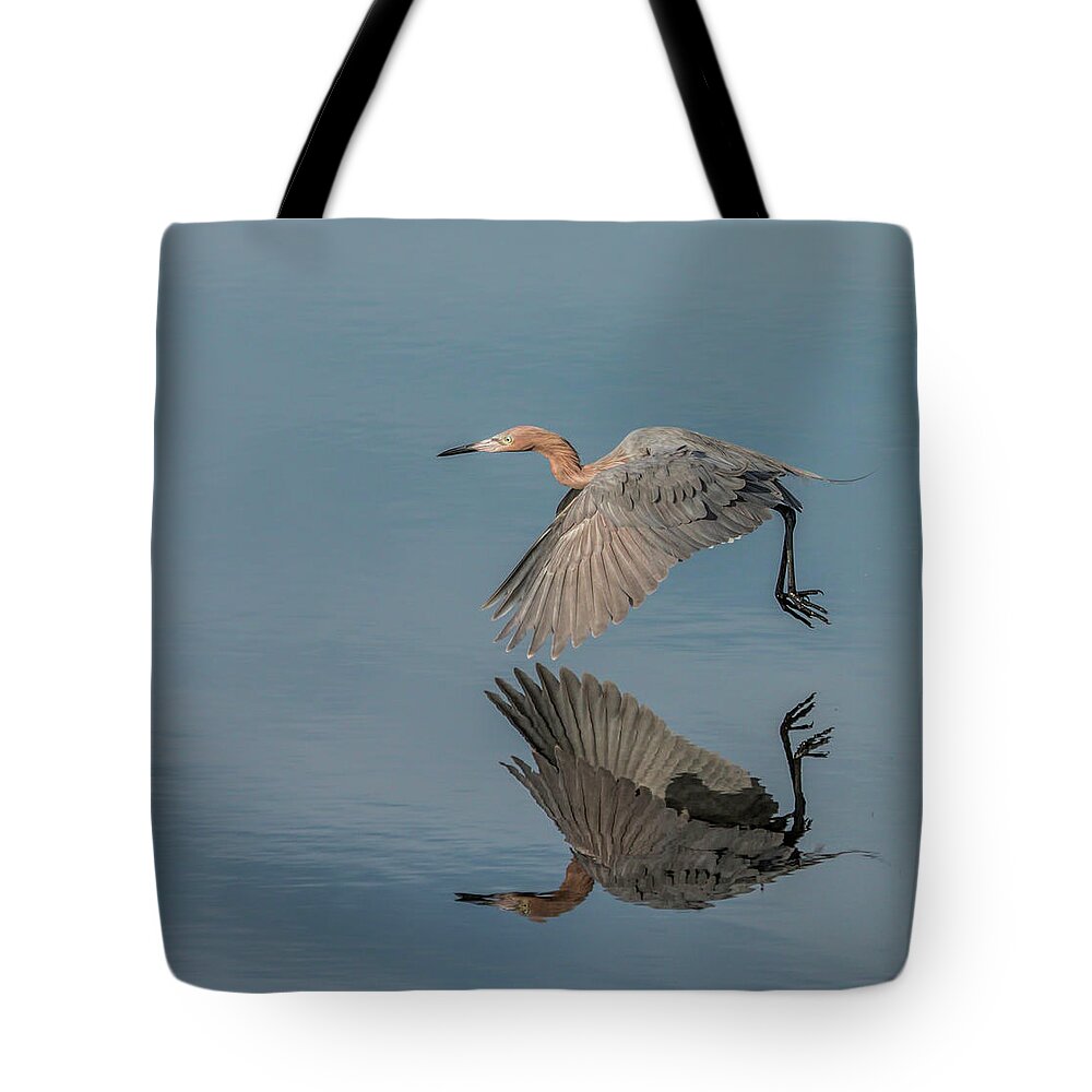 Heron Tote Bag featuring the photograph Fly By Reflection by Dorothy Cunningham