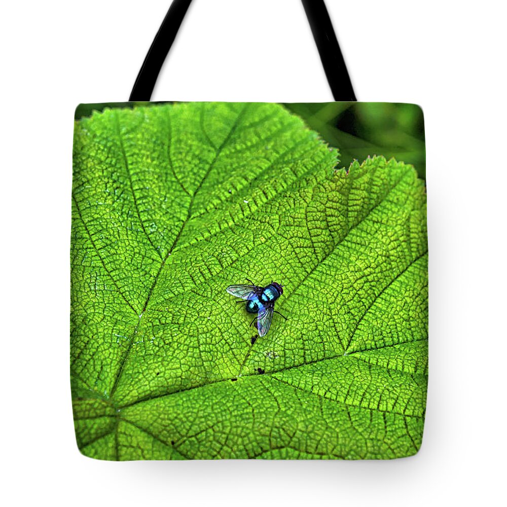 Fly Tote Bag featuring the photograph Fly by Cathy Mahnke