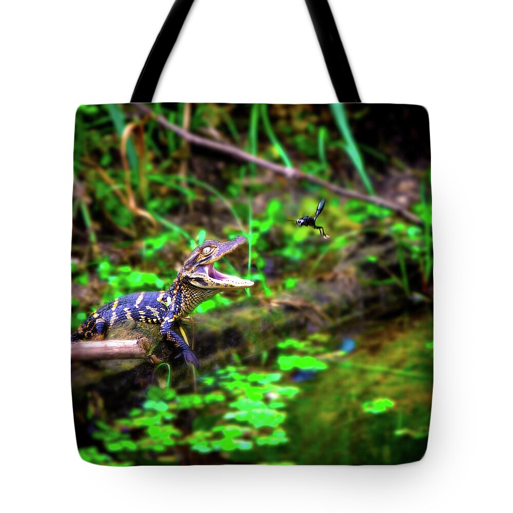 Alligator Tote Bag featuring the photograph Fly Into My Mouth Please by Mark Andrew Thomas