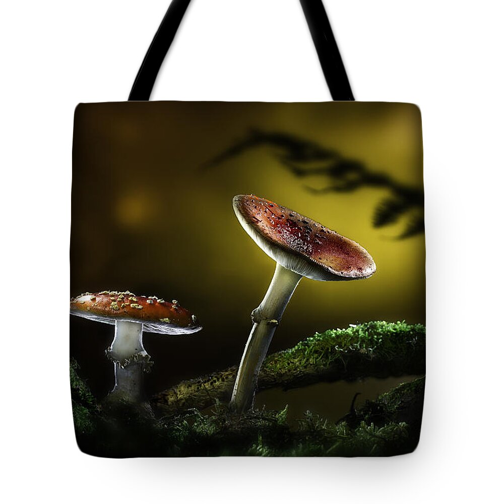 Manoir Aux Statues Tote Bag featuring the photograph Fly Mushroom - Red Autumn Colors by Dirk Ercken