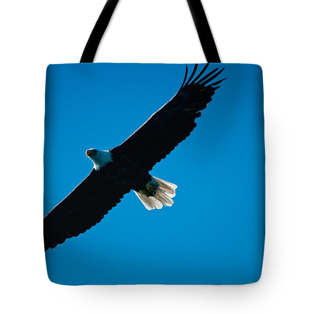 Eagle Tote Bag featuring the photograph Fly Over by Paul Mangold