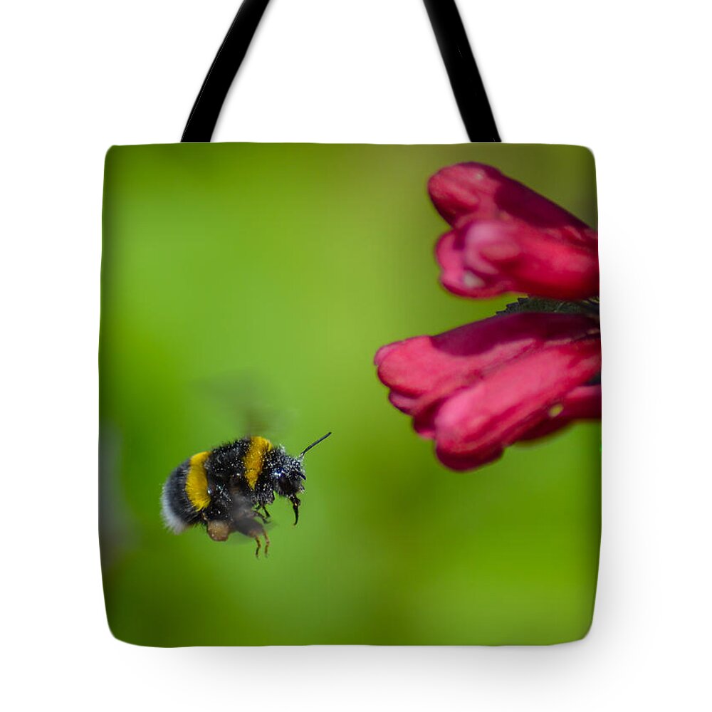 Honey Tote Bag featuring the photograph Flying Bumblebee by Rainer Kersten