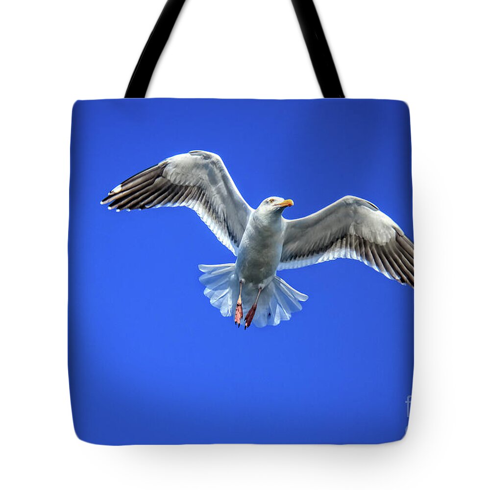 Bird Tote Bag featuring the photograph Flying Gull by Robert Bales
