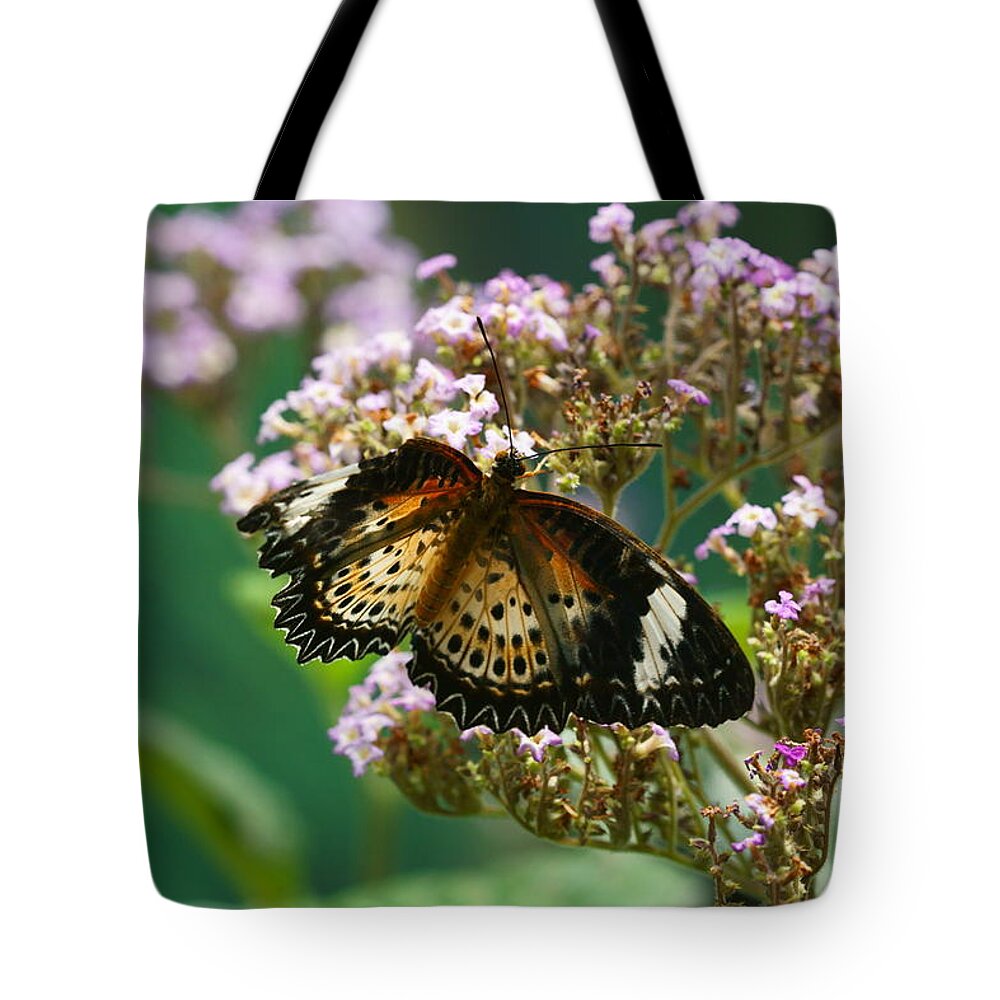 Butterfly Tote Bag featuring the photograph Flying High 1 by Dimitry Papkov