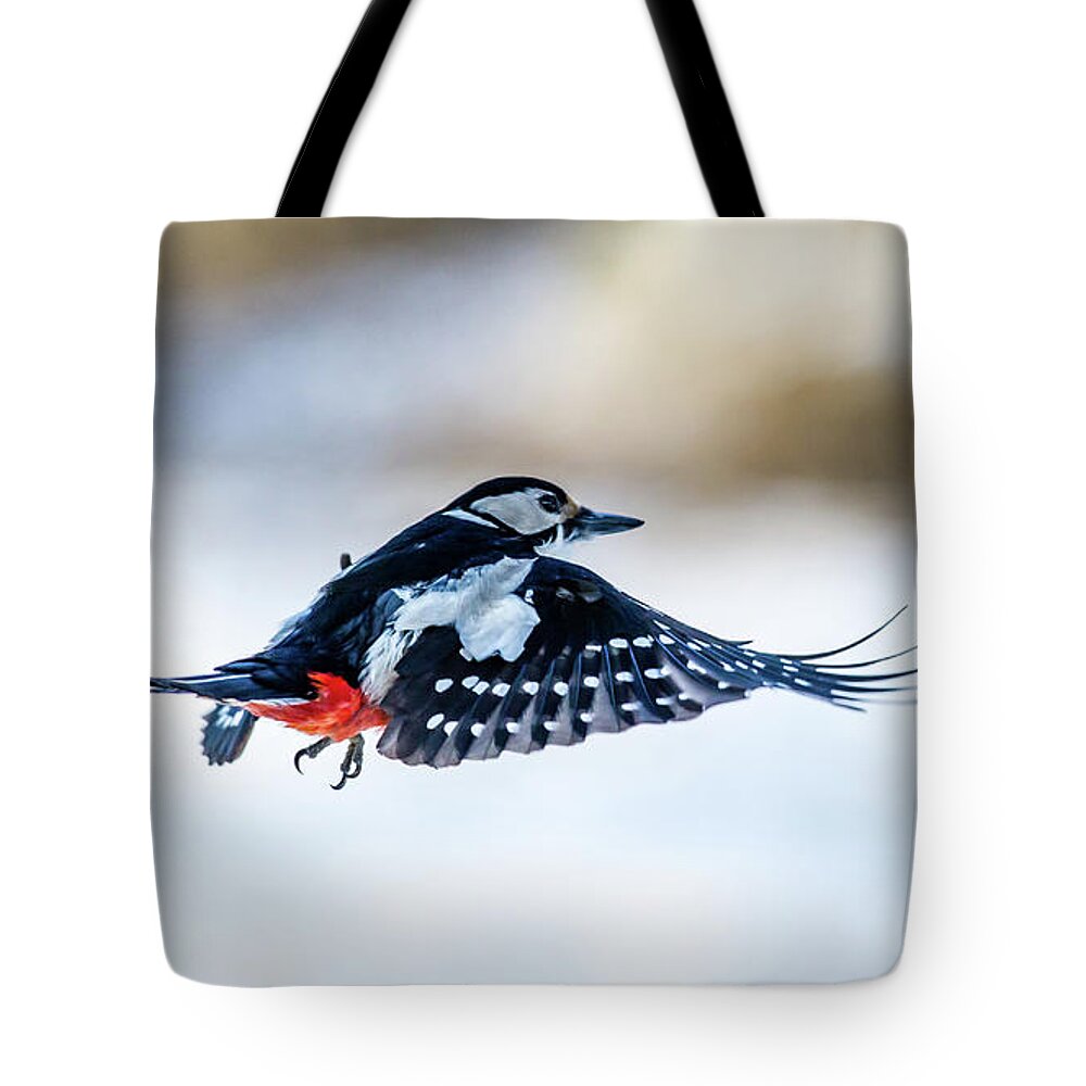 Flying Woodpecker Tote Bag featuring the photograph Flying Woodpecker by Torbjorn Swenelius