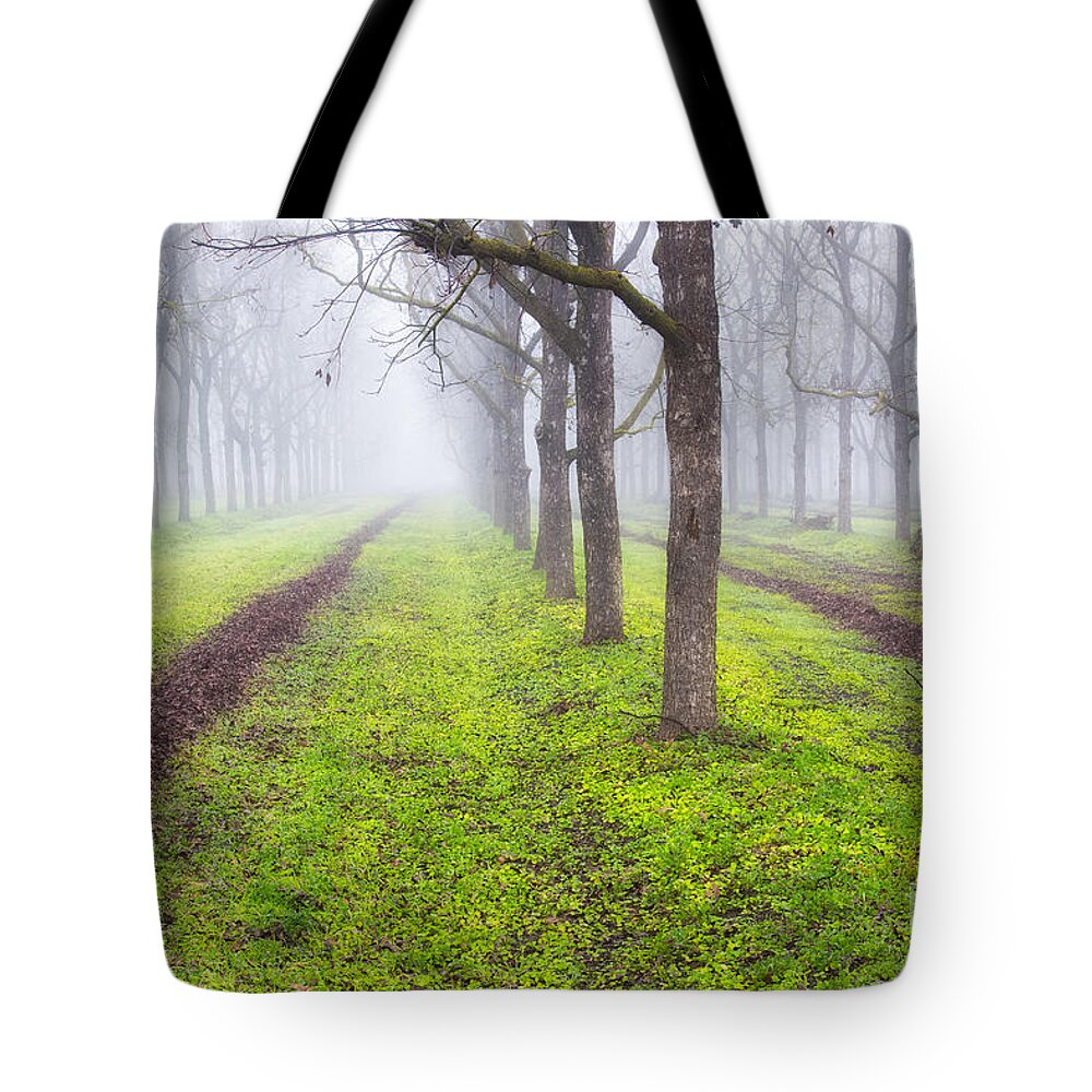 Fog Tote Bag featuring the photograph Fog and Orchard by Anthony Michael Bonafede