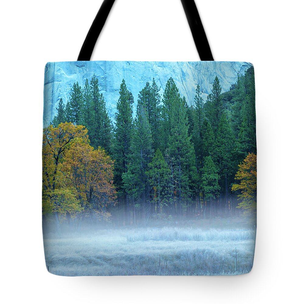 Nature Tote Bag featuring the photograph Fog-Frost-Fall by Jonathan Nguyen