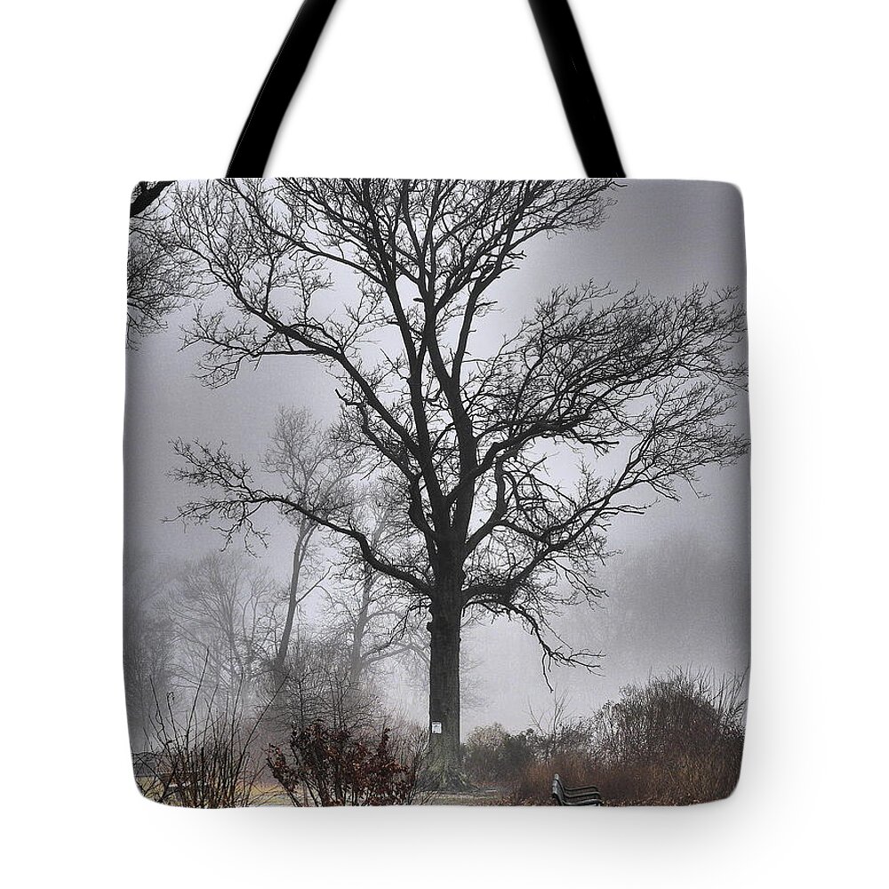 Landscape Tote Bag featuring the photograph Fog Shrouded Tree by Jack Riordan