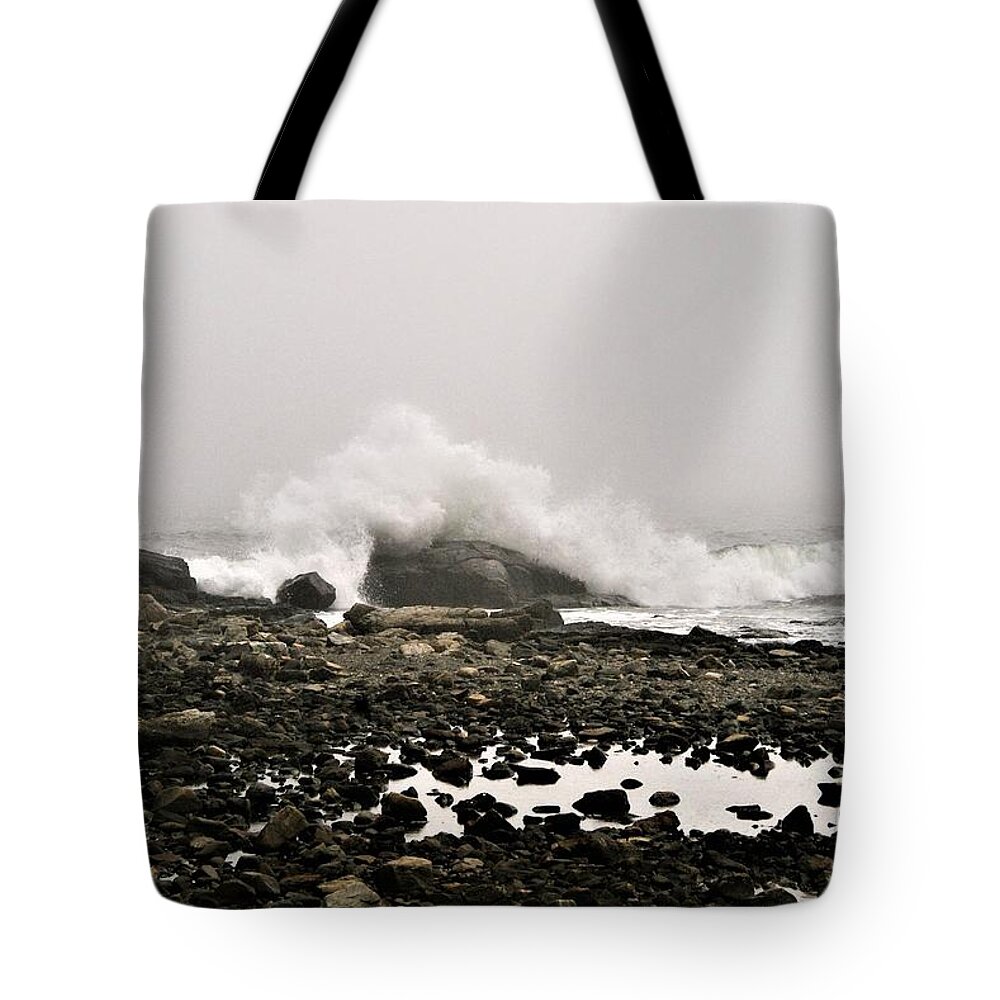 Ocean Tote Bag featuring the photograph Foggy Day at the coast by Lois Lepisto