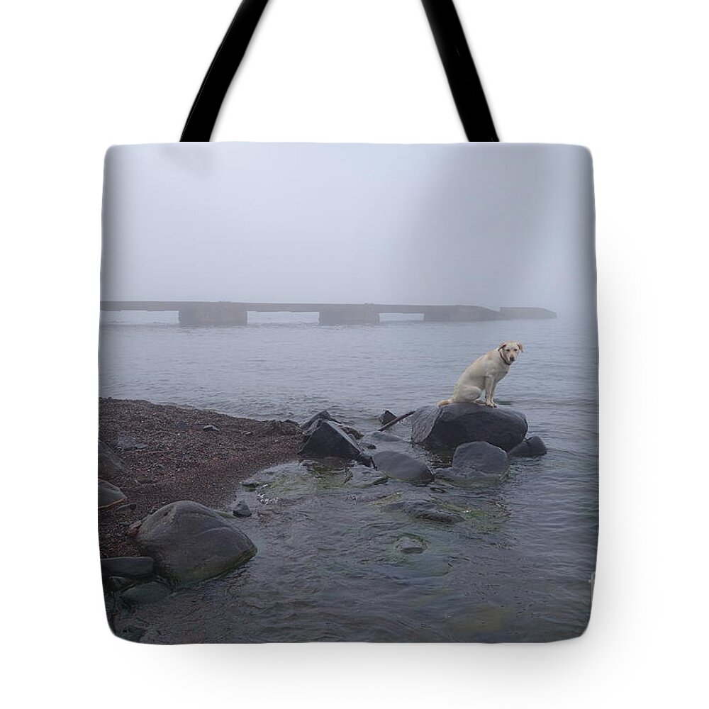 Hovland Dock Tote Bag featuring the photograph Foggy Day at the Hovland Dock by Sandra Updyke