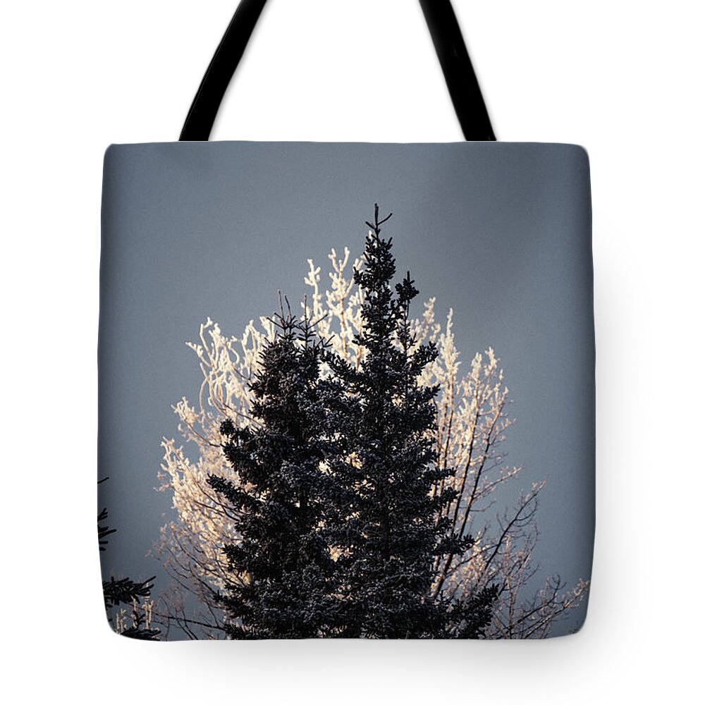 Alaska Tote Bag featuring the photograph Foggy Days and Foggy Nights by Fred Denner