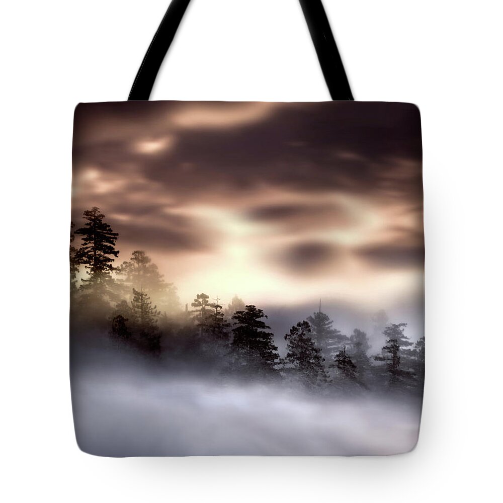 Foggy Landscape Tote Bag featuring the photograph Foggy landscape by Lilia S