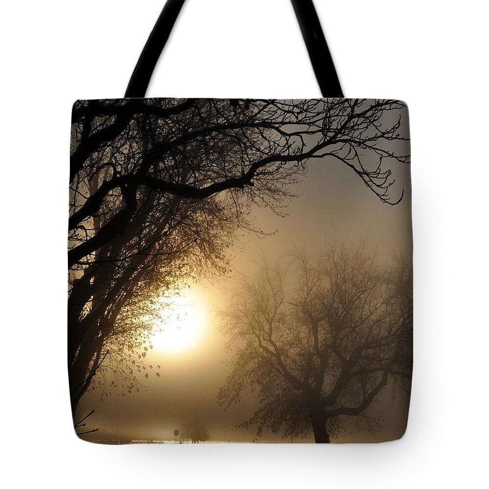 Foggy Tote Bag featuring the photograph Foggy Morn by Tim Nyberg