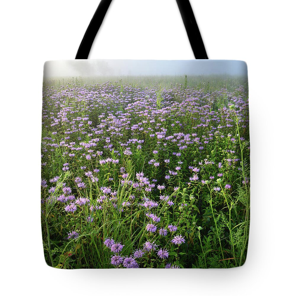 Mchenry County Conservation District Tote Bag featuring the photograph Foggy Morning in Glacial Park by Ray Mathis