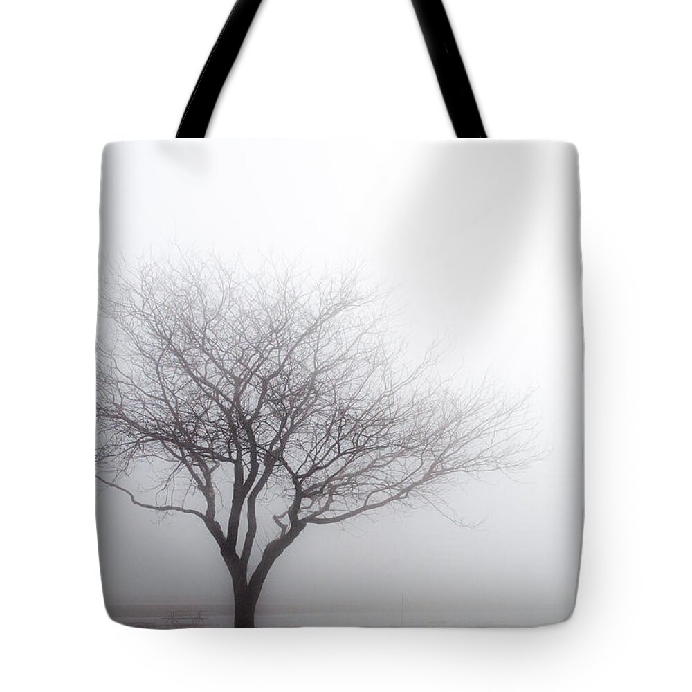 Ohio Tote Bag featuring the photograph Foggy Picnic by Stewart Helberg