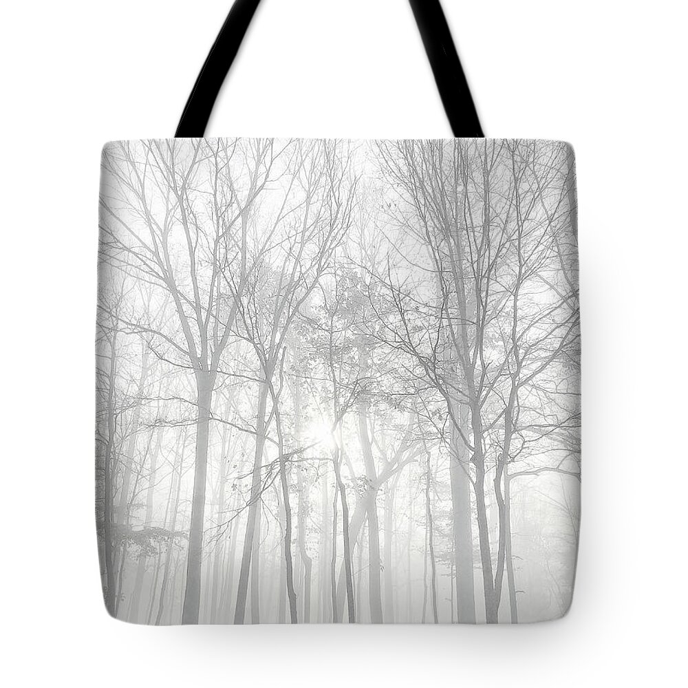 Fog Tote Bag featuring the photograph Foggy Trees by Karen Smale