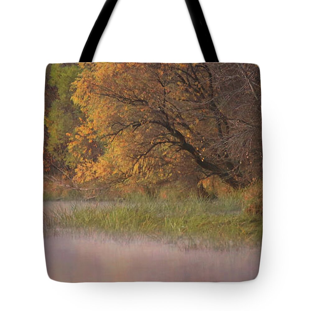 Fog Tote Bag featuring the photograph Foggy Waters by Elizabeth Winter