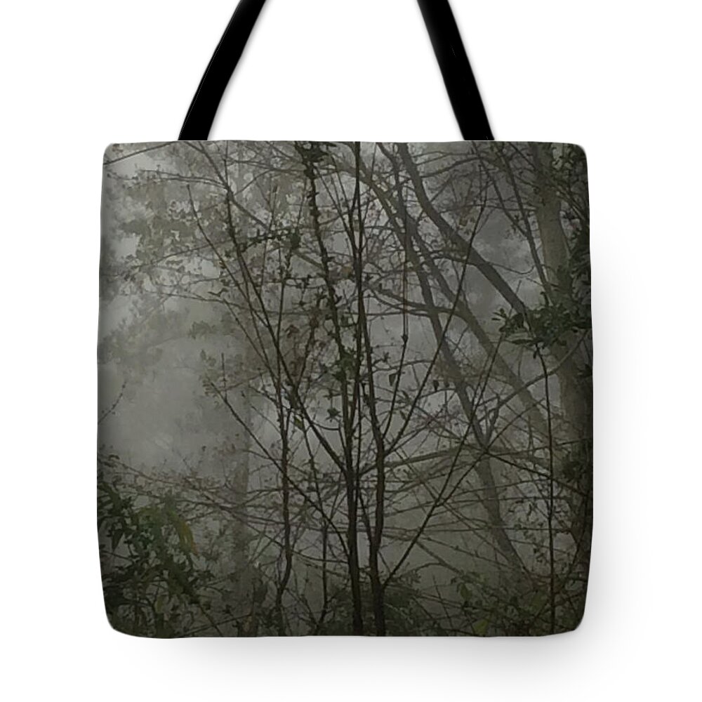Fog Tote Bag featuring the photograph Foggy Woods Photo by Gina O'Brien