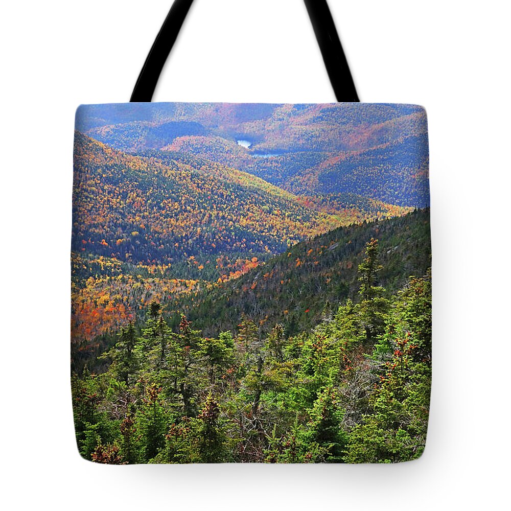 Keene Tote Bag featuring the photograph Foliage Covered Mountainscape Keene Valley Adirondacks New York by Toby McGuire
