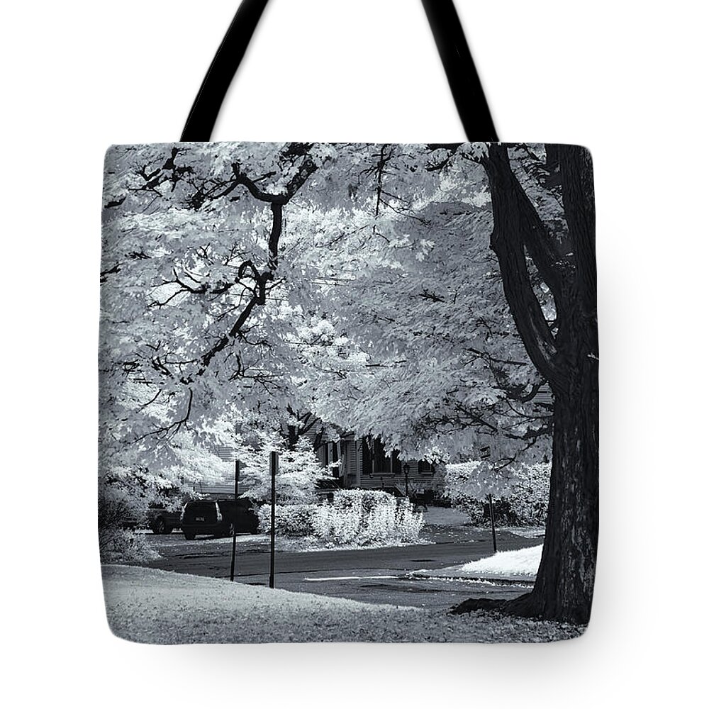 Clematis Vine Tote Bag featuring the photograph Foliage in Black and White by Tom Singleton