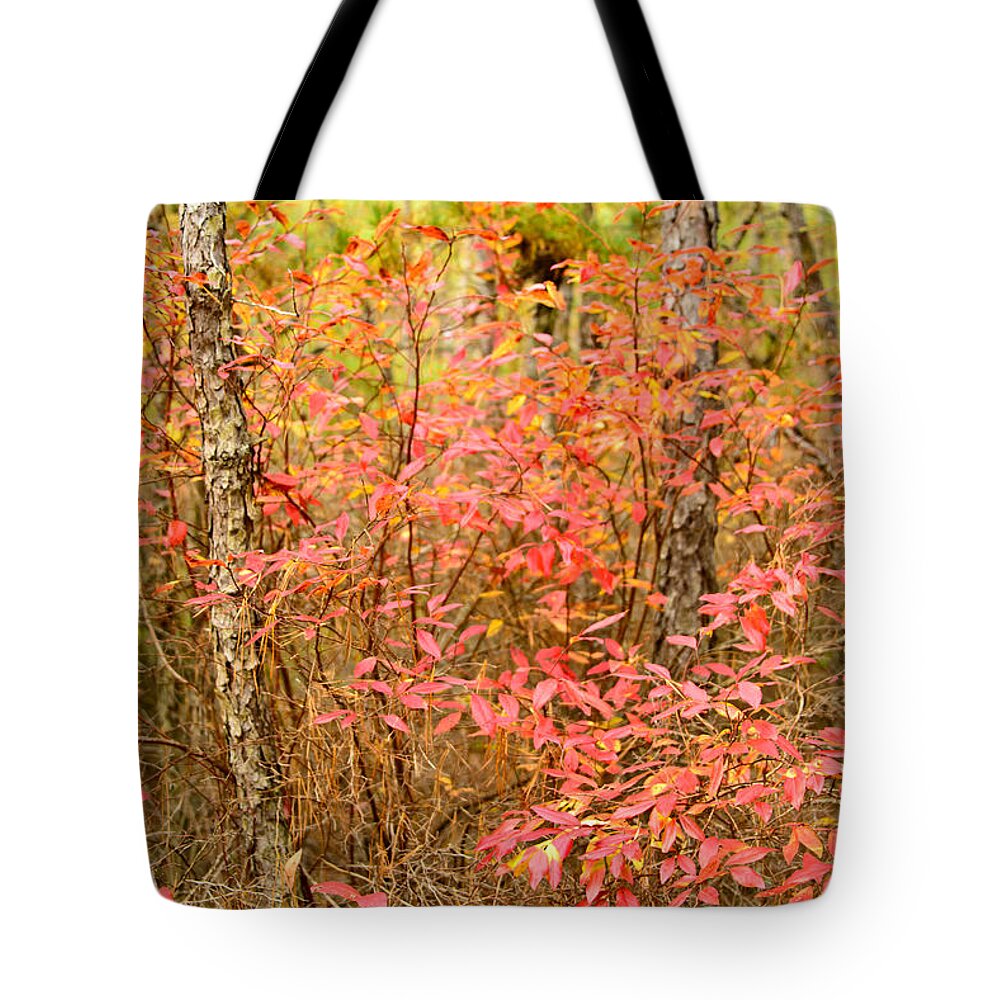 Autumn Tote Bag featuring the photograph Foliage on Fire by Louis Dallara