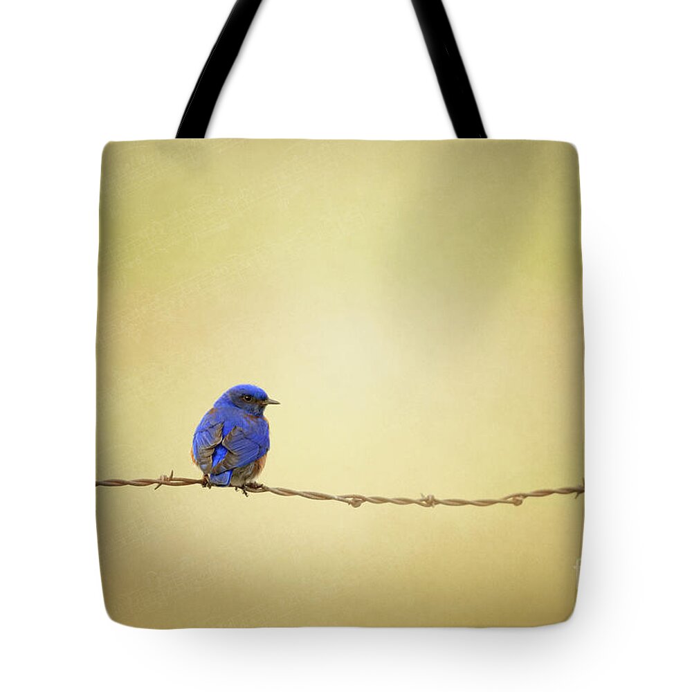 Bird Tote Bag featuring the photograph Follow my Song by Beve Brown-Clark Photography