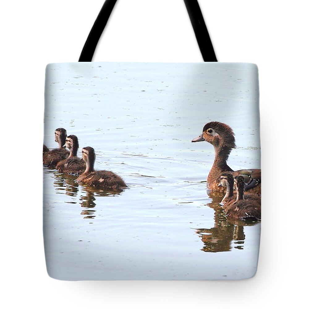 Nature Birds Tote Bag featuring the photograph Follow the Leader by David Rosenthal