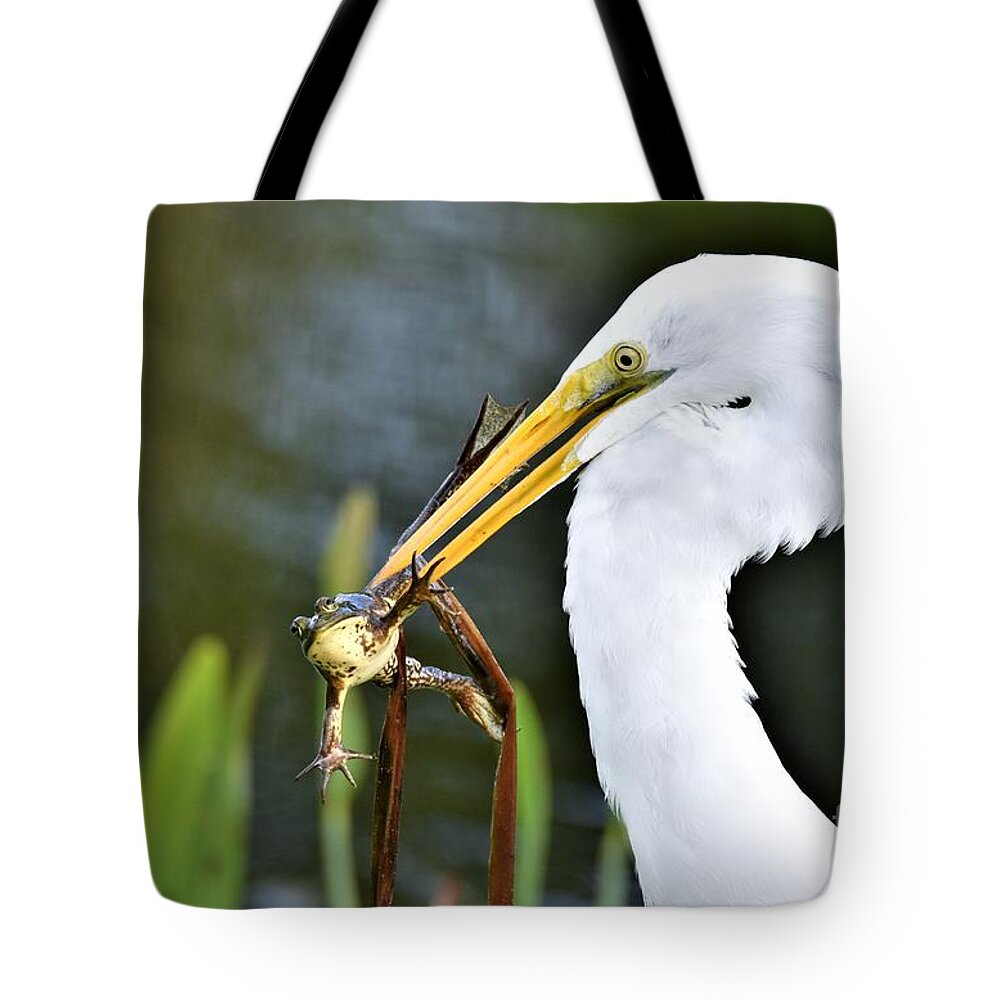 Great White Egret Tote Bag featuring the photograph Food Chain by Julie Adair