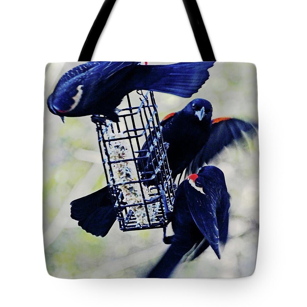 Blackbirds Tote Bag featuring the photograph Food Fight 2 by Lizi Beard-Ward