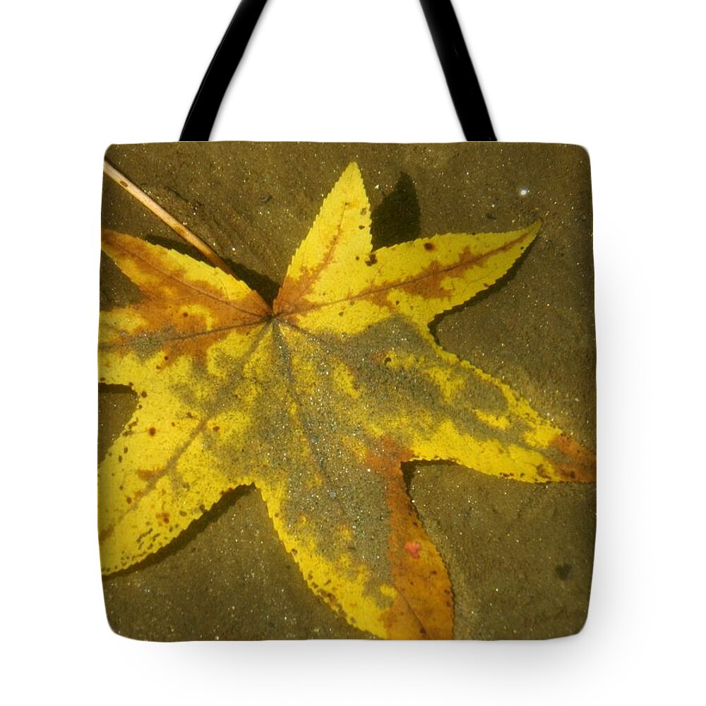 Gold Tote Bag featuring the photograph Fools Gold by Angelia Wood