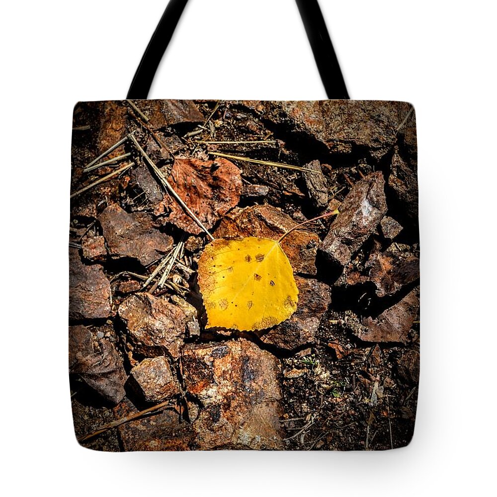 Aspen Tote Bag featuring the photograph Fools Gold by Michael Brungardt
