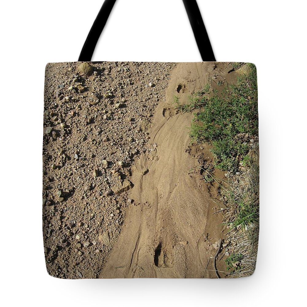 Deer Tote Bag featuring the photograph Footsteps after Rain by Judith Lauter