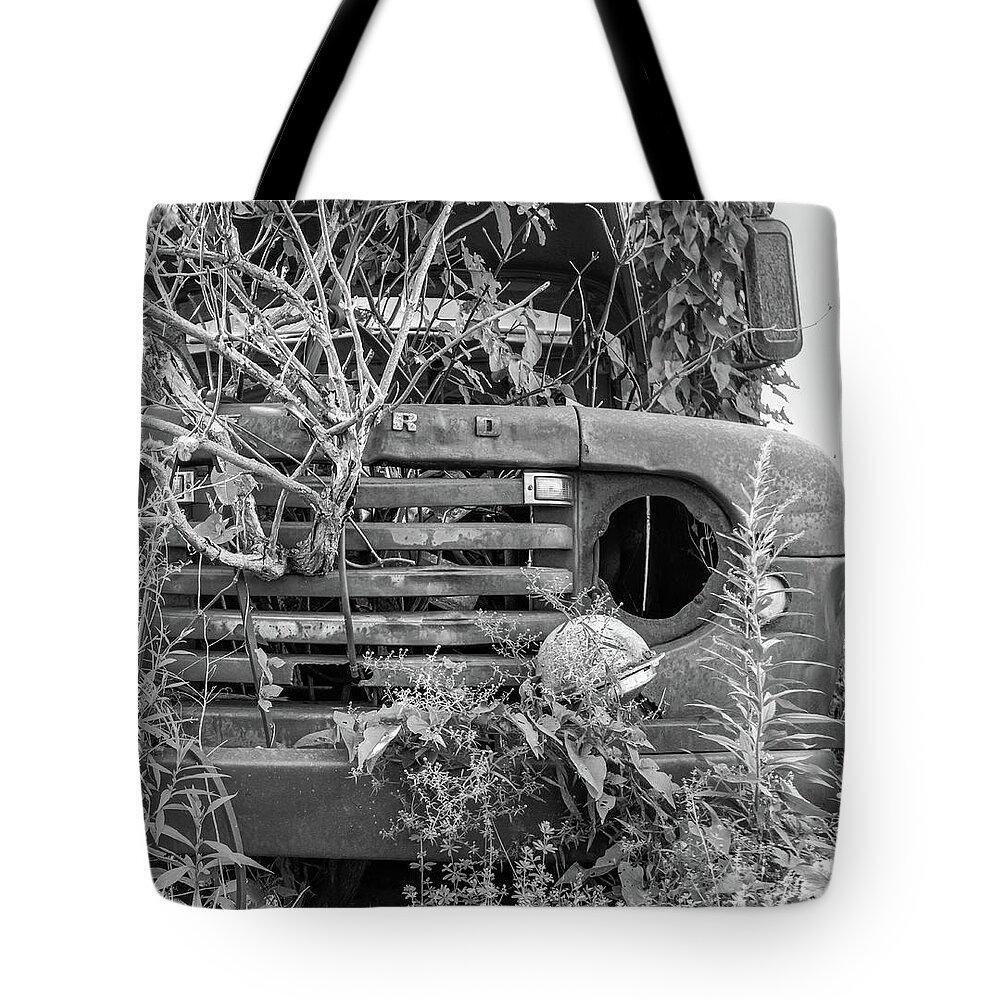 Dansville Ny Tote Bag featuring the photograph Ford forgot in nature by Nick Mares