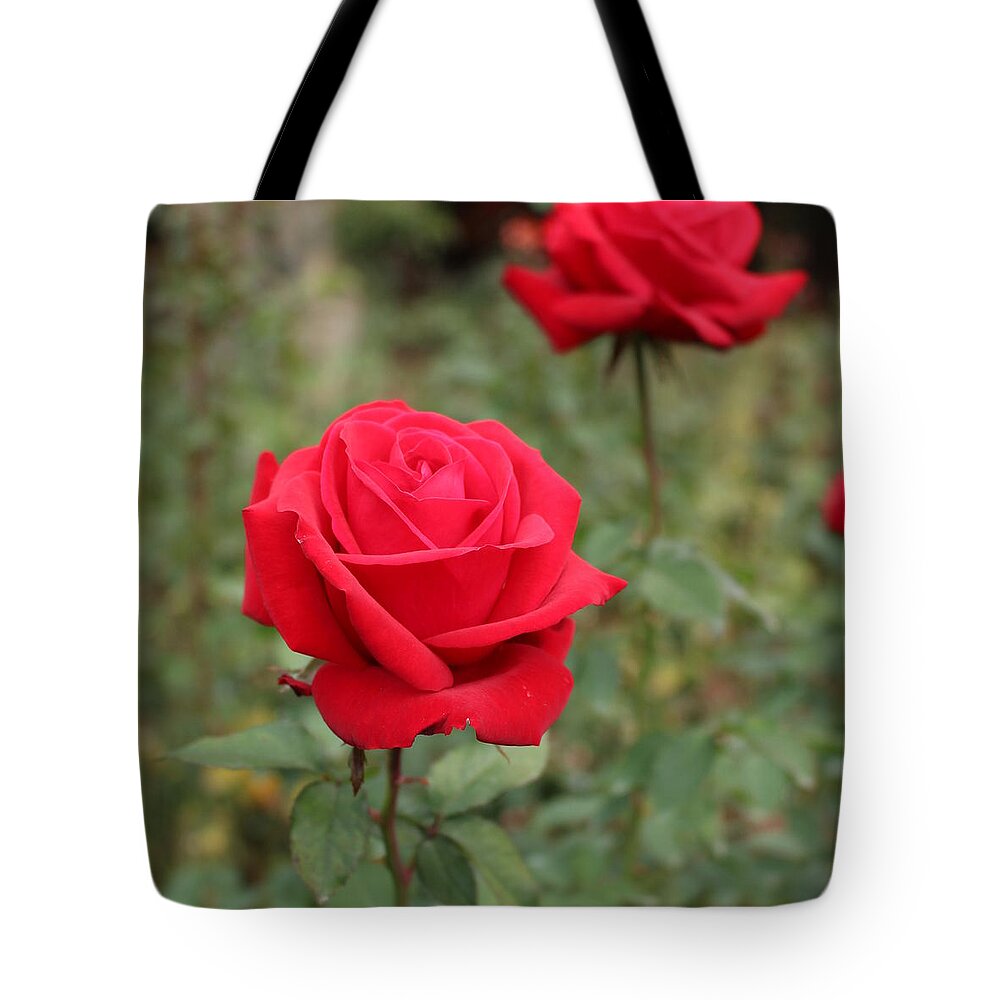 Flowers Tote Bag featuring the digital art Foreground Love by Linda Ritlinger
