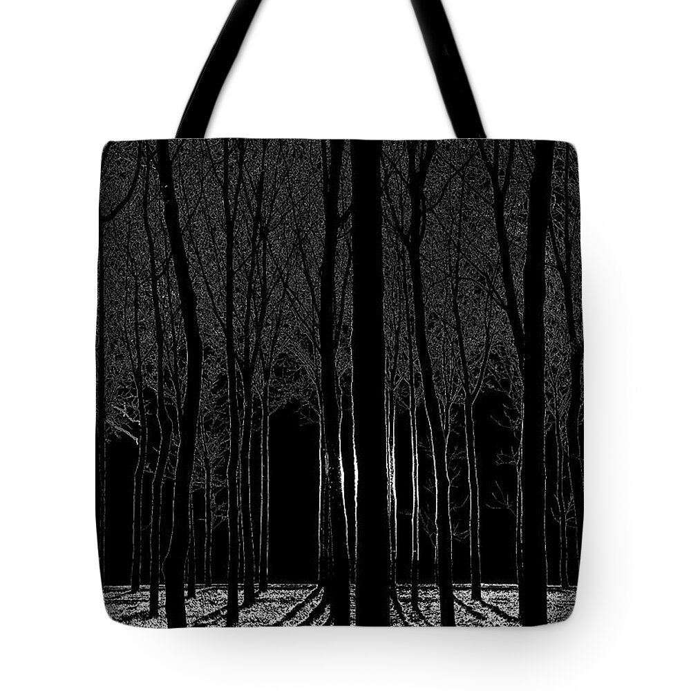Archbold Tote Bag featuring the photograph Forest Abstract by Michael Arend