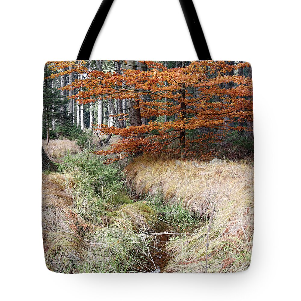 Streamlet Tote Bag featuring the photograph Forest autumn still life with the streamlet by Michal Boubin
