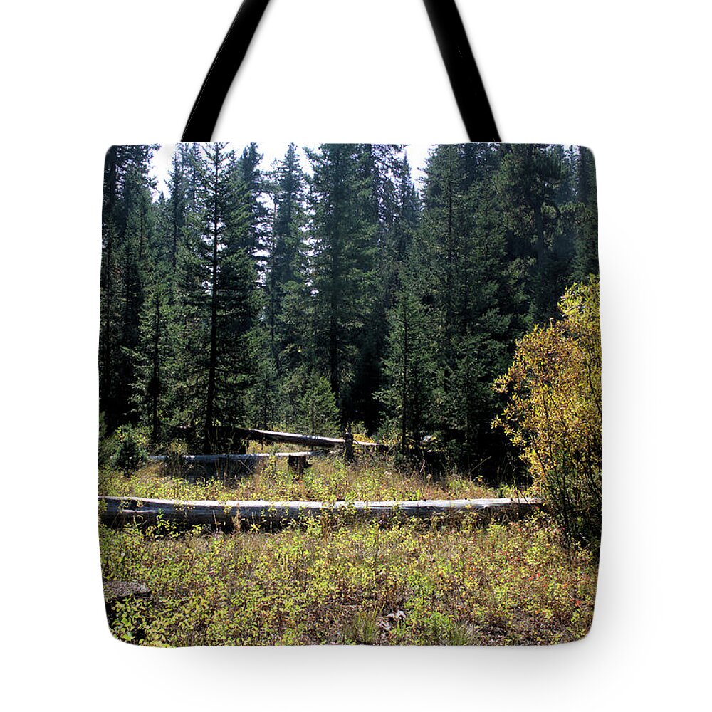 Natural Area Tote Bag featuring the photograph Forest Clearing by Scott Carlton