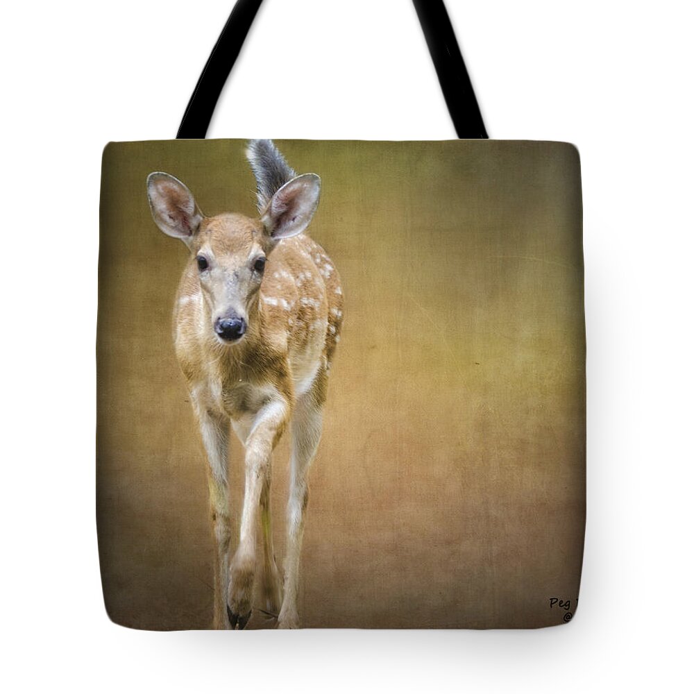 Fawn Tote Bag featuring the photograph Forest Fawn by Peg Runyan