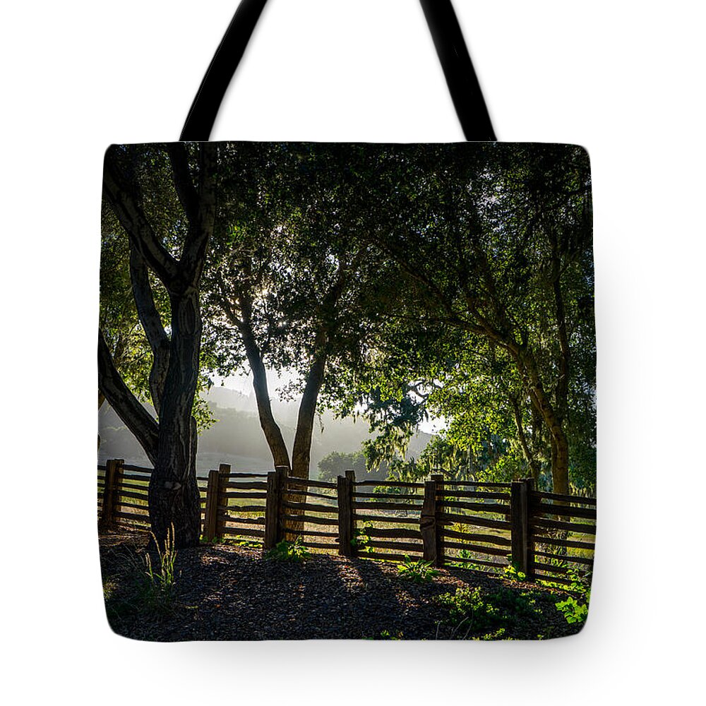 Trees Tote Bag featuring the photograph Forest Fence by Derek Dean