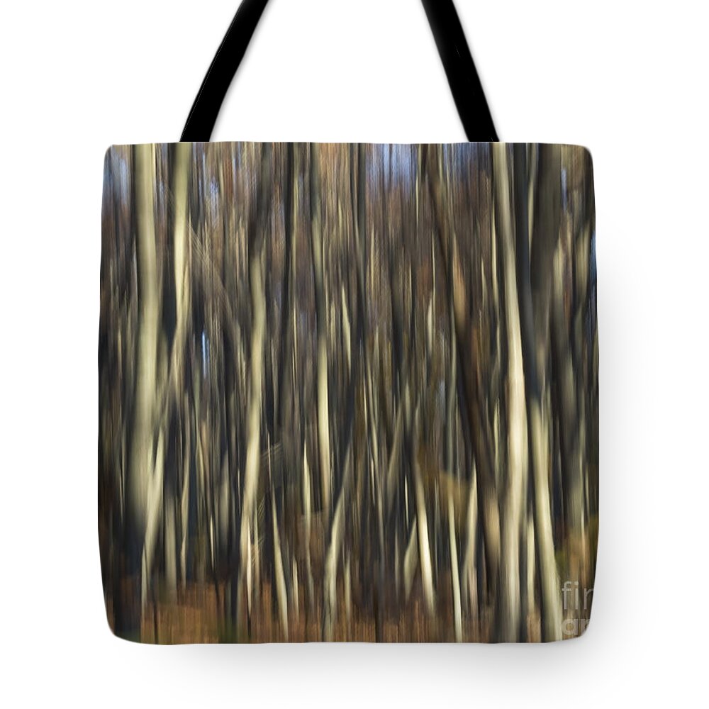 Abstract Tote Bag featuring the photograph Forest for the Trees by Lili Feinstein