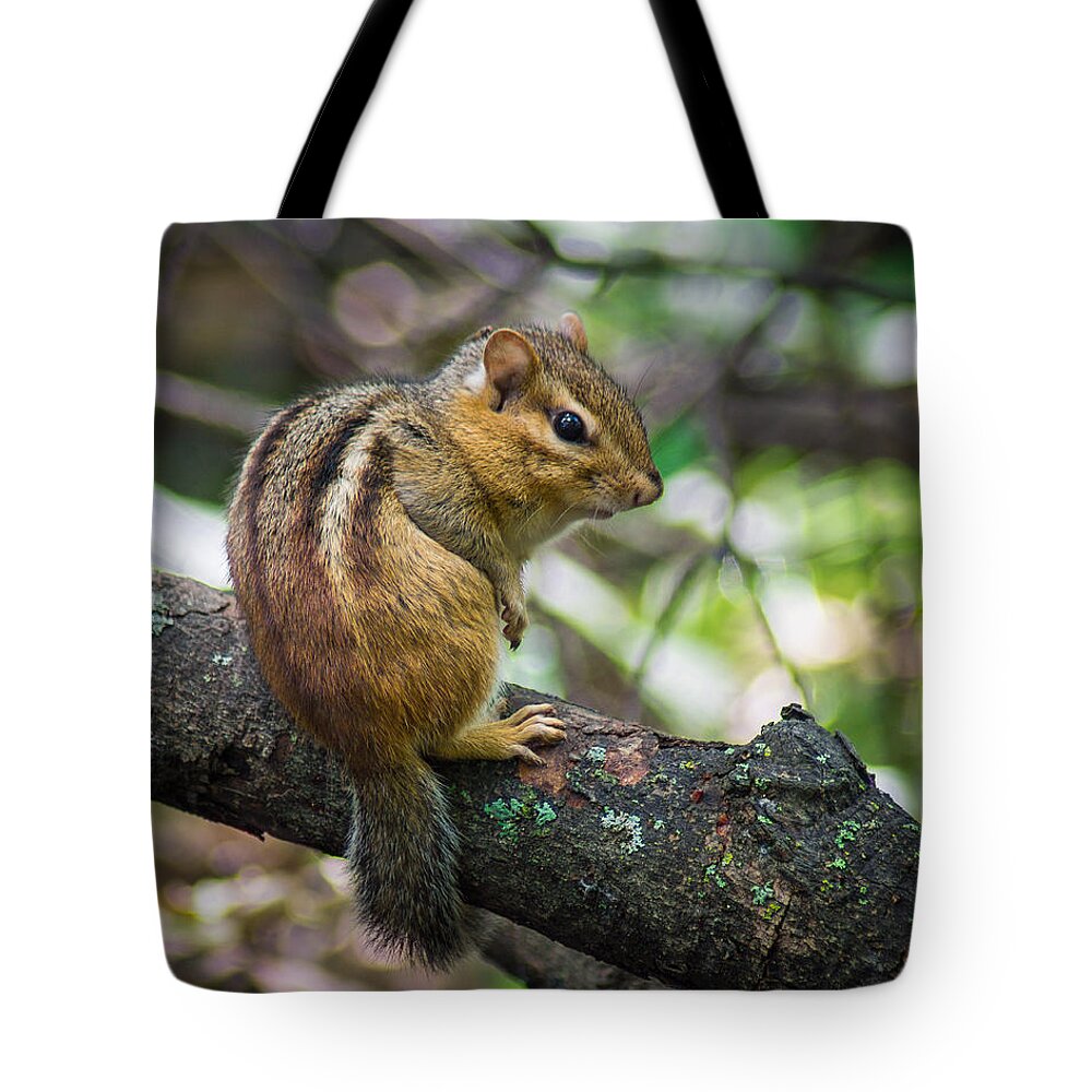 Bill Pevlor Tote Bag featuring the photograph Forest Friend by Bill Pevlor