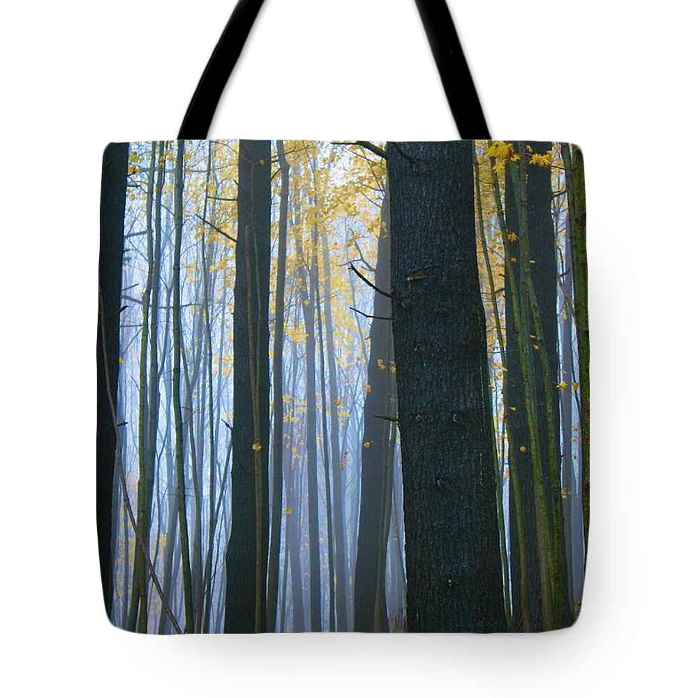  Tote Bag featuring the photograph Forest in Fog by Polly Castor