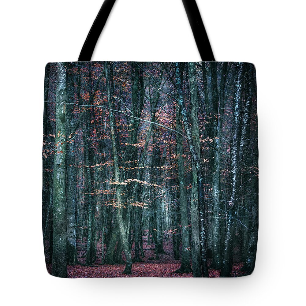 Woods Tote Bag featuring the photograph Forest by Joana Kruse